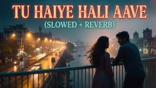 Download lagu Tu Haiye Hali Aave | Retro Gujarati Vibe | Slowed   Reverb | Chill Mix 🎧 mp3
