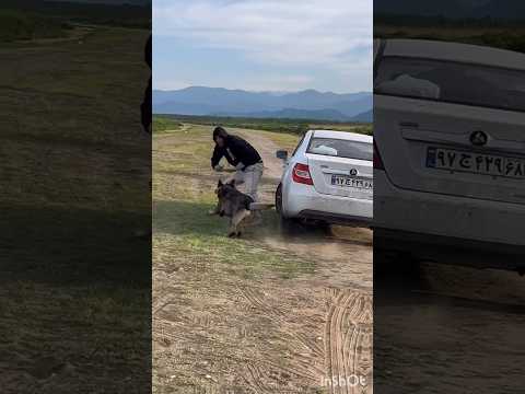 Protection 🫡Psa Iran🚩