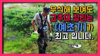 열받아도 예초기하나로 고추밭 정리끝냈습니다 !