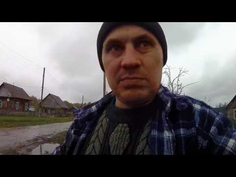 Инкубация без электричества//Утята вылупляются