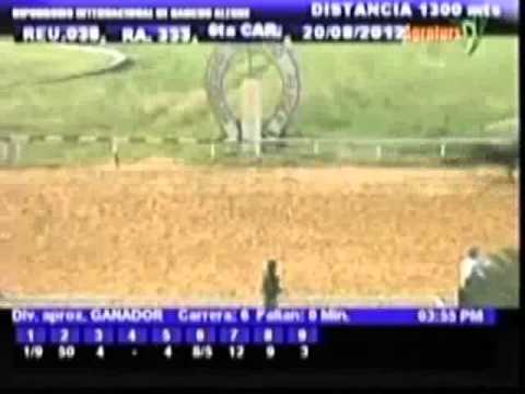 Resumen Lunes, 20 de Agosto de 2012 - Rancho Alegre