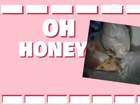 mi m8chi@CapCutofficial