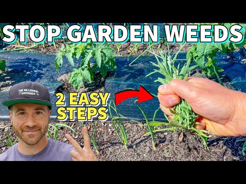 Make Your Garden WEED FREE FOREVER In 2 Easy Steps!