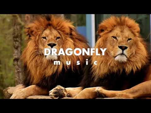 ELPORT - Upside Down ft. Max Landry | 1 Hour Version