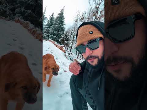 كلب الاطلس 🇲🇦♥️😍