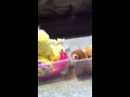 Animal Train