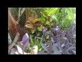 Alice DiMicele  " Common Ground "