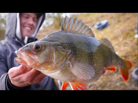 ZO VANG JE DE GROOTSTE BAARZEN!🎣👌