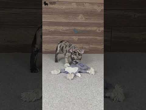 Video 2