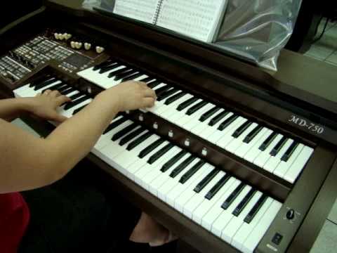 Órgão Eletrônico Tokai MD-750 com metrônomo - Loja Teclasom