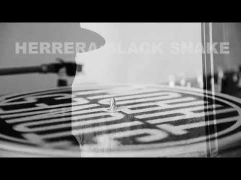 Herrera - Black Snake (OFFICIAL VIDEO)
