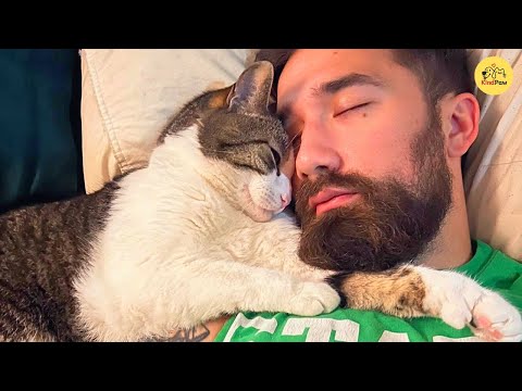 She Rescued a Stray Cat and Became the Third Wheel in Her Own Marriage