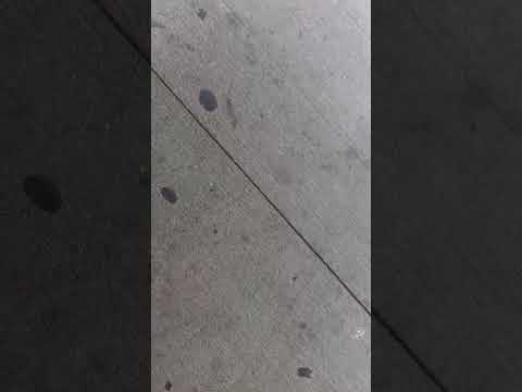 When Doomsquad kp caught D5ive for dissing #rochesterny #beef