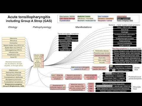 Acute tonsillopharyngitis, Strep throat (mechanism of disease)