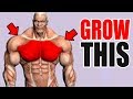 3 Best Exercises for a BIG CHEST!