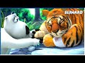 Wildlife Reserve Bernard 110 Compilation