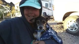 Leaving Caravan Carolyn and Parker Again! Full-time Vanlife