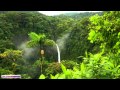 African Music | African Jungle | Relaxing Ambient Music