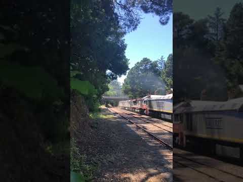 TRAINS AM22 5MP9 Smoking Locomotives EL56 SCT006 EL55 EL62 EL60 Mt Lofty, S. Australia 14/01/22