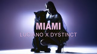 Miami Lyrics English Translation