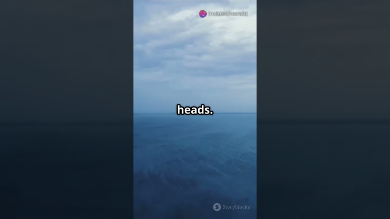 The Mysterious Disappearance of Varig Flight 967 #investigationcrime  #investigationmystery #history