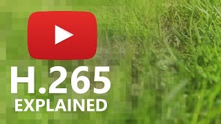 H.265 (HEVC) vs H.264 (AVC) Compression: Explained! thumbnail