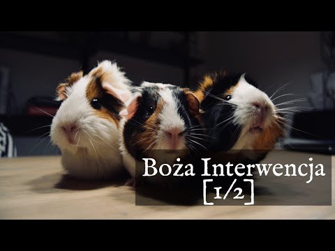 Złamanie palca po pozostał guz Wpadać na piechotę blisko dużego palca