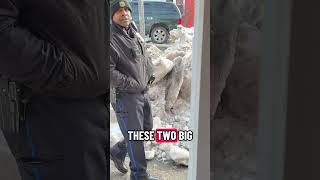 THE BIG BAKK JAKK BREAKFAST PAN AT JAKK FROST HALAL BREAKFAST