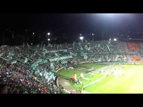 "Siguiendo al verde soy feliz .." Barra: Los del Sur • Club: Atlético Nacional