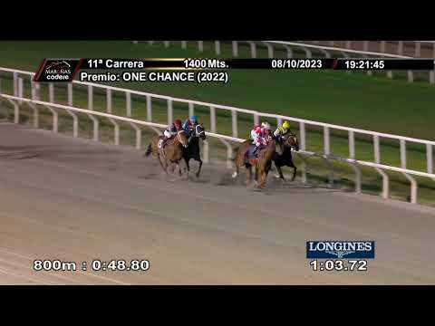 231008 c11 ALBION (BRZ)