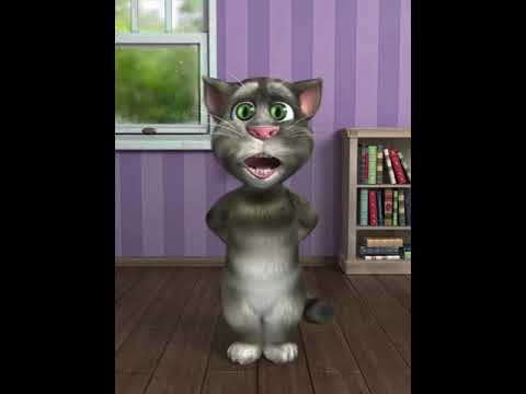 Talking Tom loves Davo United