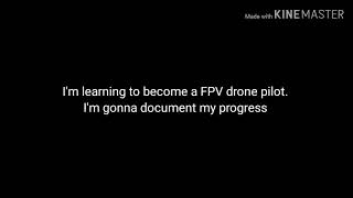 Learning to fly fpv: part 1 [on the simulator]