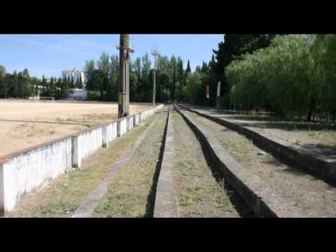 desportivo beja