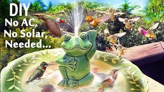 CHEAP Hummingbird FOUNTAIN-NO Solar, Sun, AC Needed DIY Bird Bath Pump-Put ANYWHERE in Garden Patio