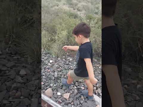 5 de febrero de 2026