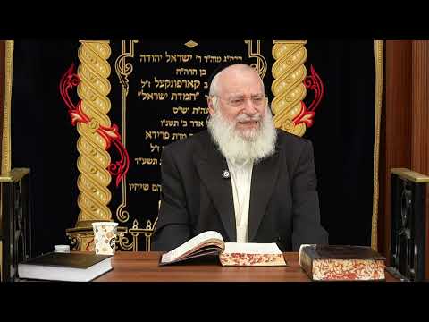 Thoughts on Rosh Hashana on Shabbos | by HaRav Asher Weiss Shlita | 5786