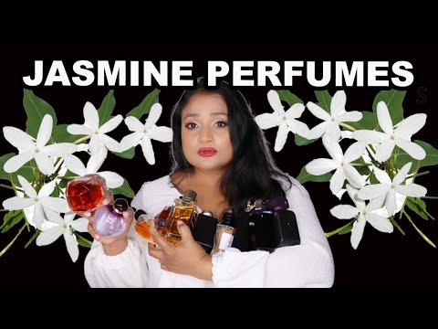 20 GORGEOUS JASMINE PERFUMES | BEST JASMINE FRAGRANCES 🤍🤍🤍