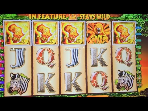 The Wild Life four symbol bonus on the new machines