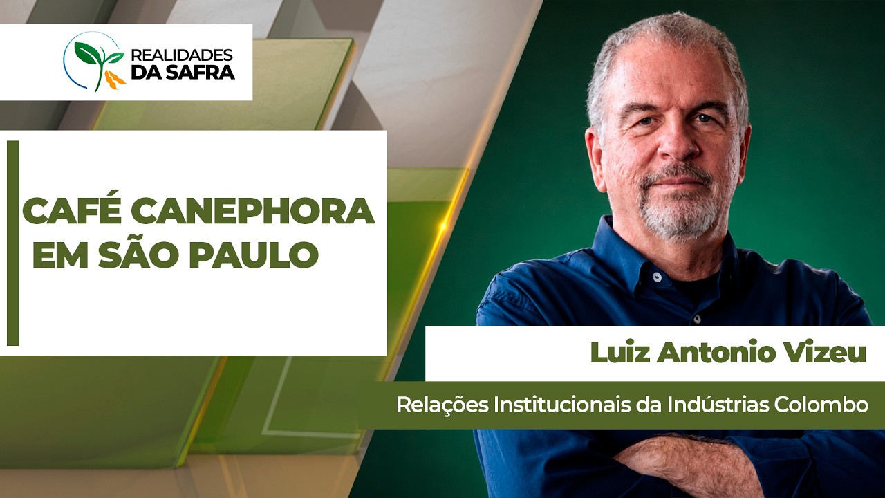 Projeto busca ampliar a produção do café canephora no estado de São Paulo