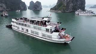 Peony Cruise — Watch Video
