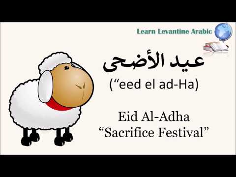 download lagu mp3 mp4 How To Greet During Eid Al Adha, download mp3 How To Greet During Eid Al Adha free downloadn, video klip How To Greet During Eid Al Adha
