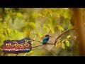 sanchare-07-09-2018