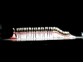 Toy Soldiers All Fall Down Radio City Rockettes Christmas Spectacular 2011