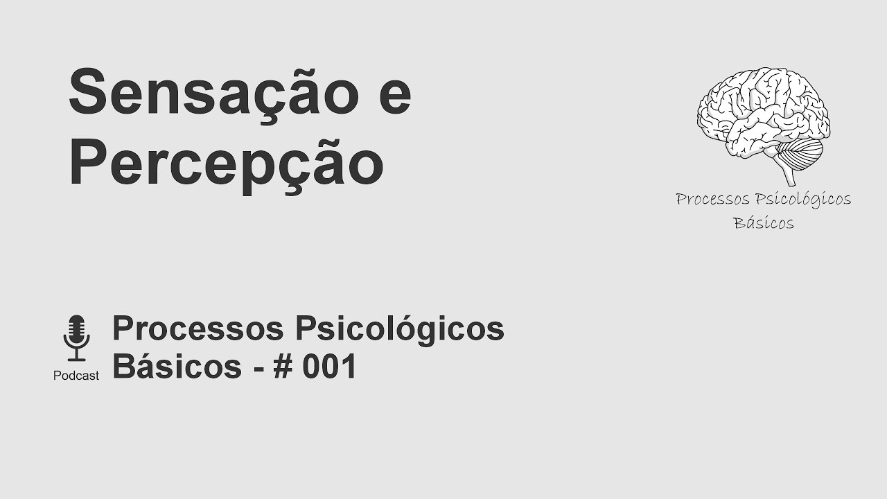 001 - Sensação e Percepção - Como Nosso Cérebro Interpreta o Mundo Processos Psicológicos Básicos