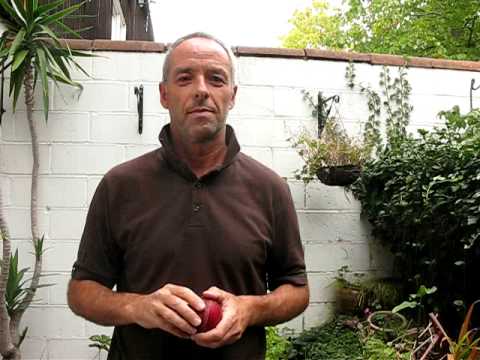 Flipper Variation   Bog Standard