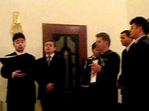 Fratii iagher   Tinca