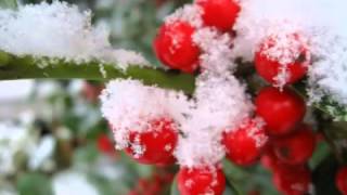 The Holly She Bears A Berry by The Chieftains