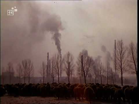 Vohburg an der Donau