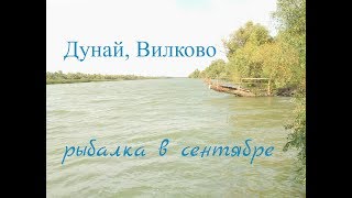 Рыбалка на дунаю