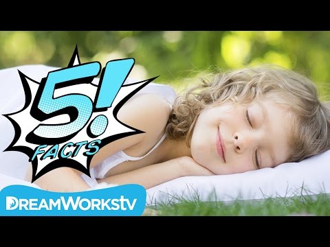 5 Crazy But True Facts About Dreams You Need to Know | 5 FACTS